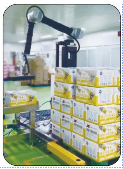 روبات پالتی سازی AI Ai-RMD30 (≤9 کارتون/ دقیقه)    حل هوشمند انعطاف پذیر پالتی سازی برای سناریوهای متعدد